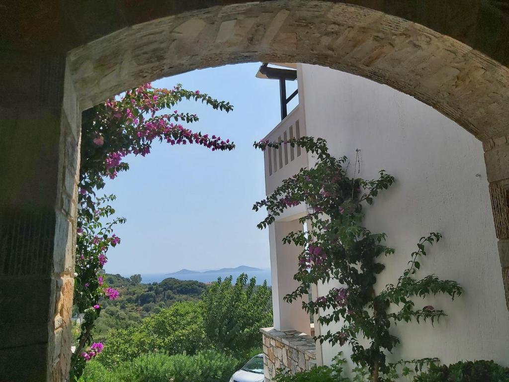Old Village photo 1