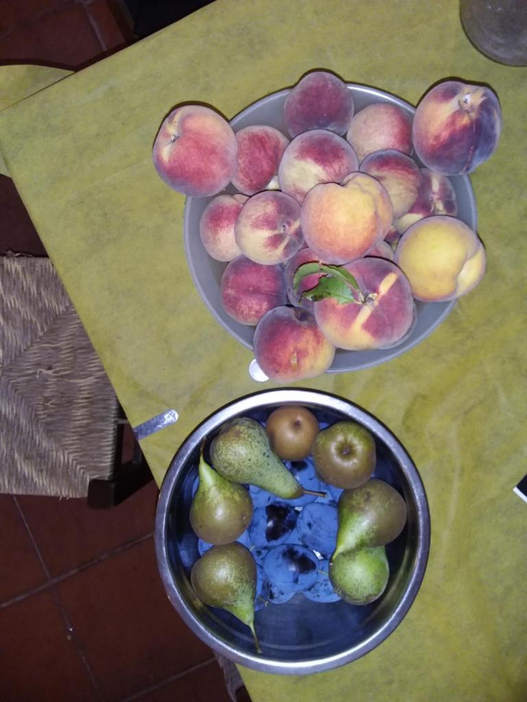 podere il sorriso degli angeli photo 3