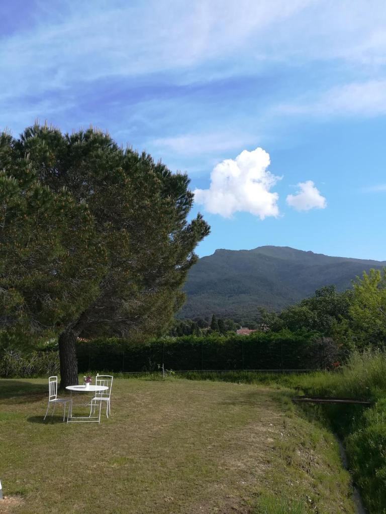 Le Quatorze photo 3