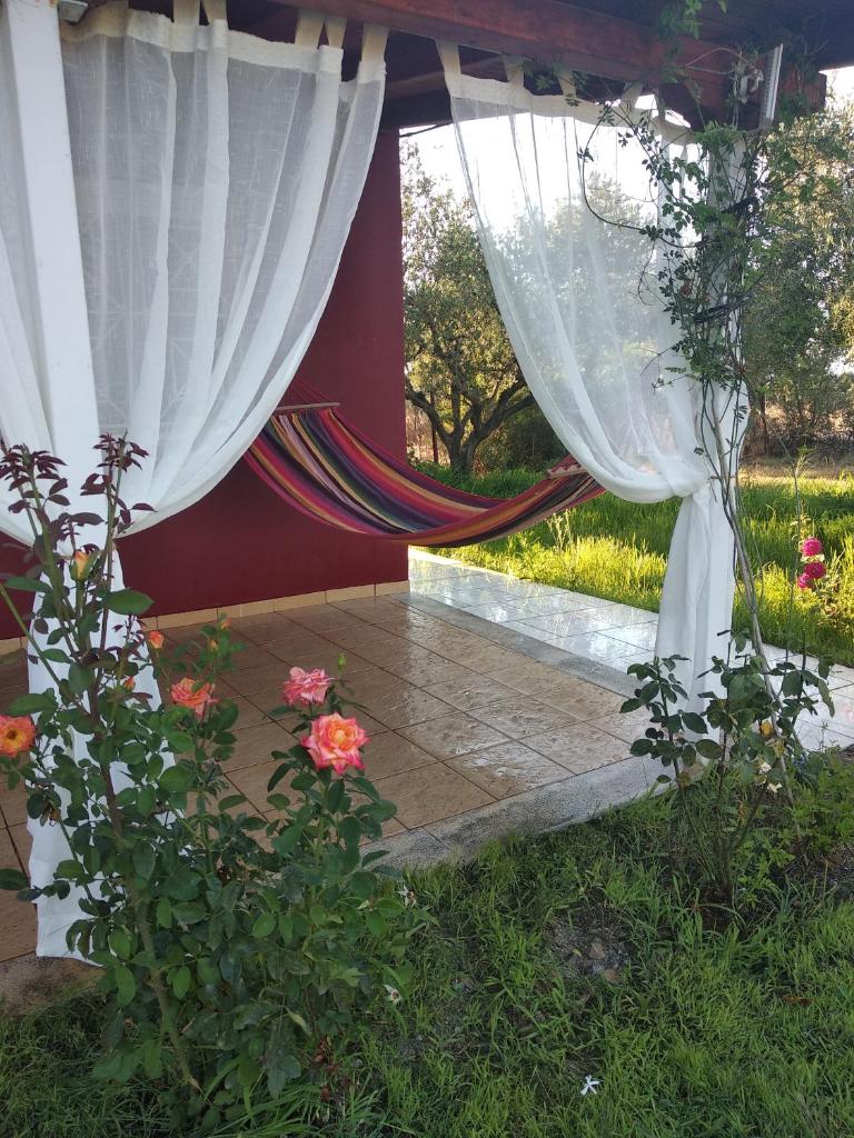 Olive garden guest house photo 3