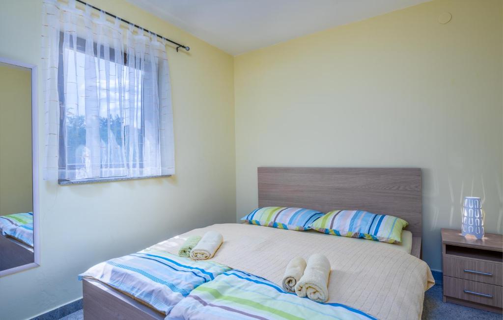 Apartment Rudika photo 2