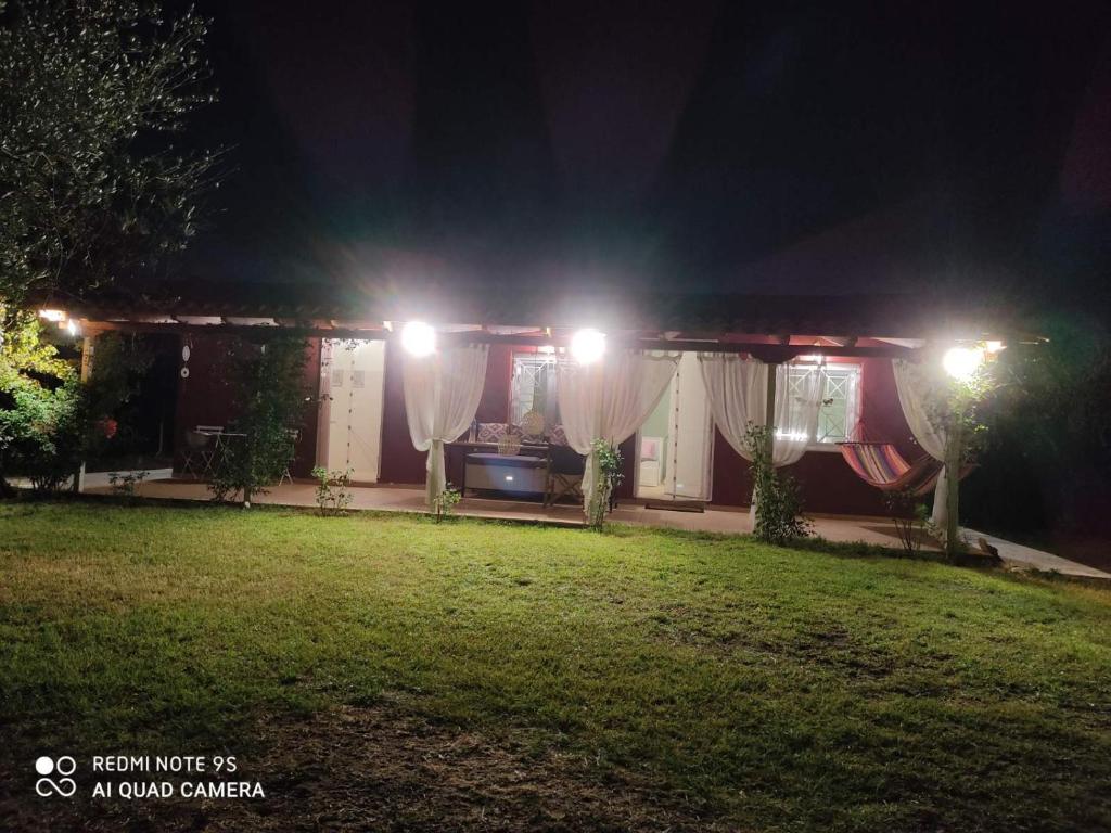 Olive garden guest house photo 1
