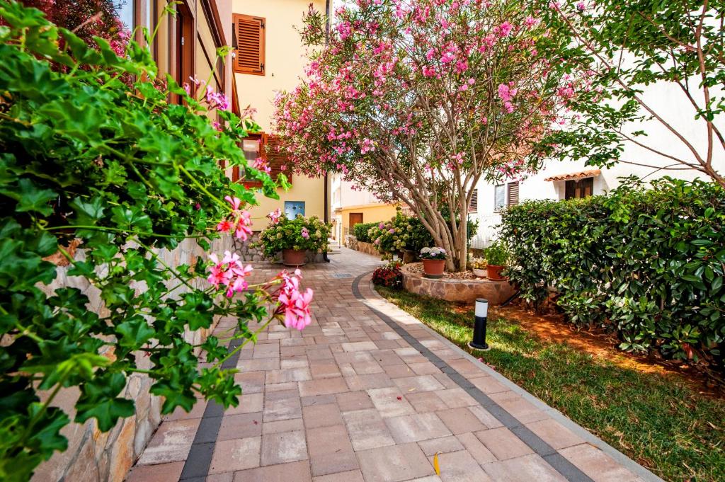 Casa Leona photo 3