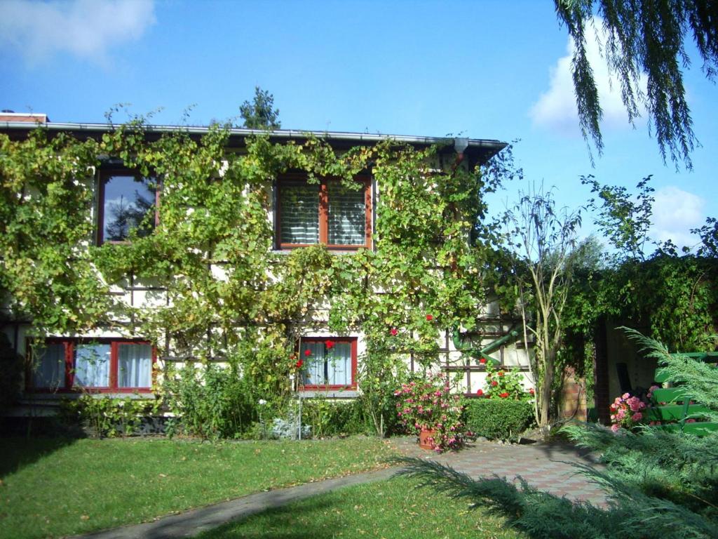 Cozy Apartment in Alt Bukow Germany with Garden photo 2