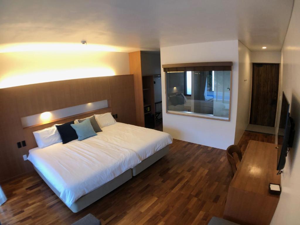 NEST Iriomote photo 4