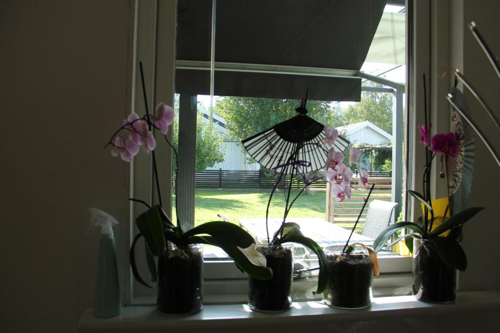 Private room for rent in a villa with garden view photo 3