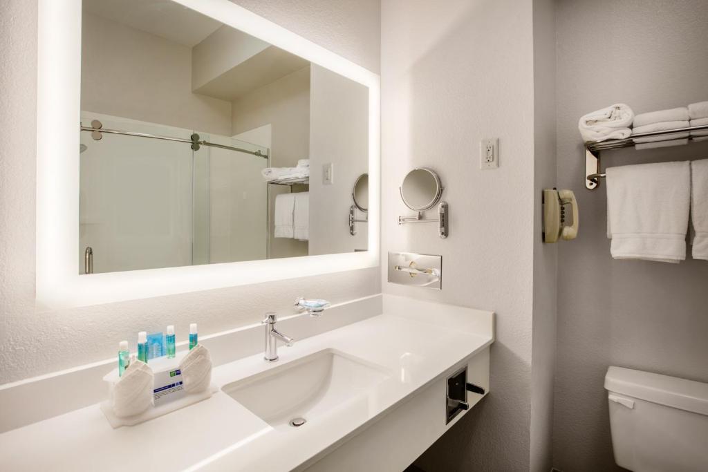 Holiday Inn Express Hotel & Suites Dallas - Grand Prairie I-20, an IHG Hotel photo 1