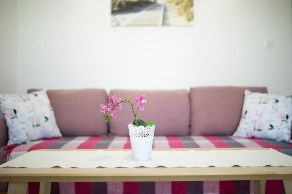 Apartman Mares photo 3