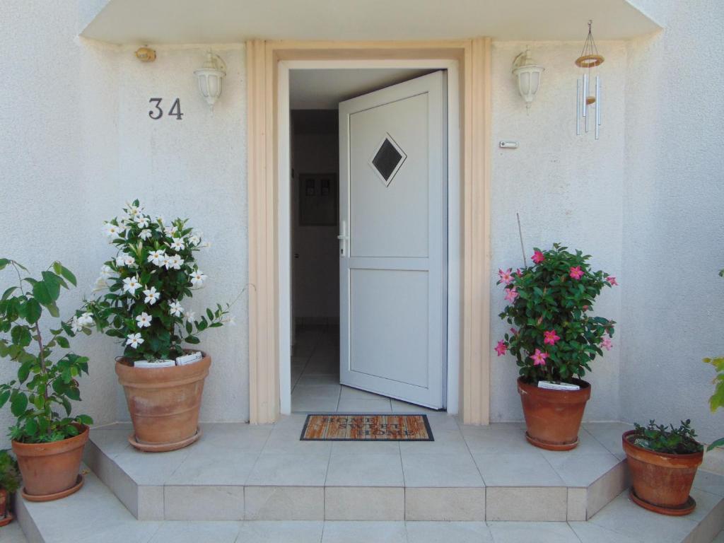 Apartments Petra photo 1