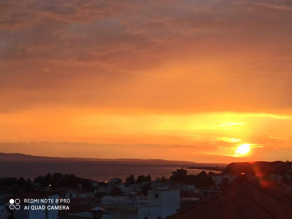 Olympus and Sea View Apartments photo 1