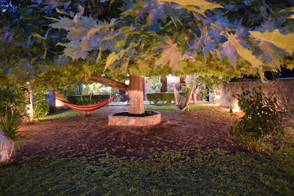Family Villa Kalypso photo 4