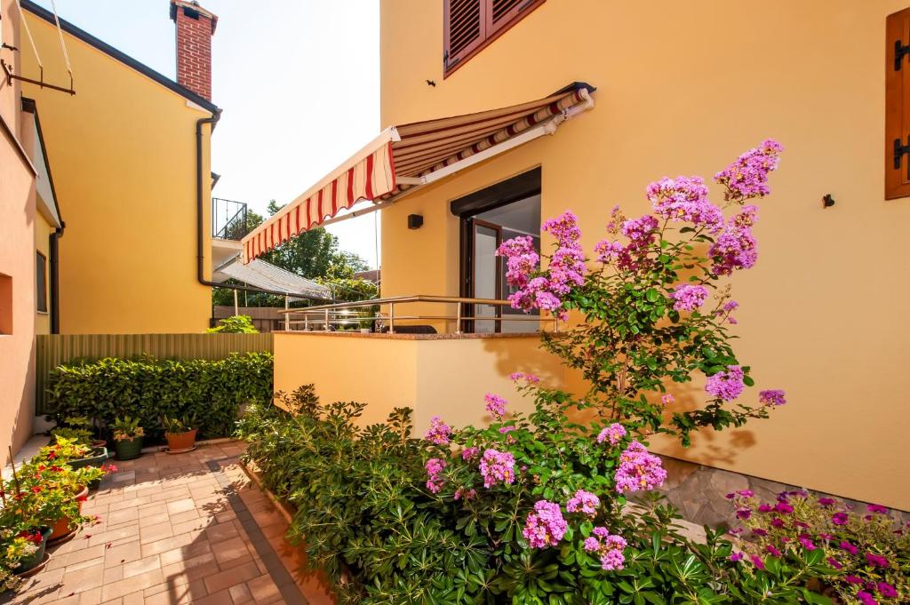 Casa Leona photo 4