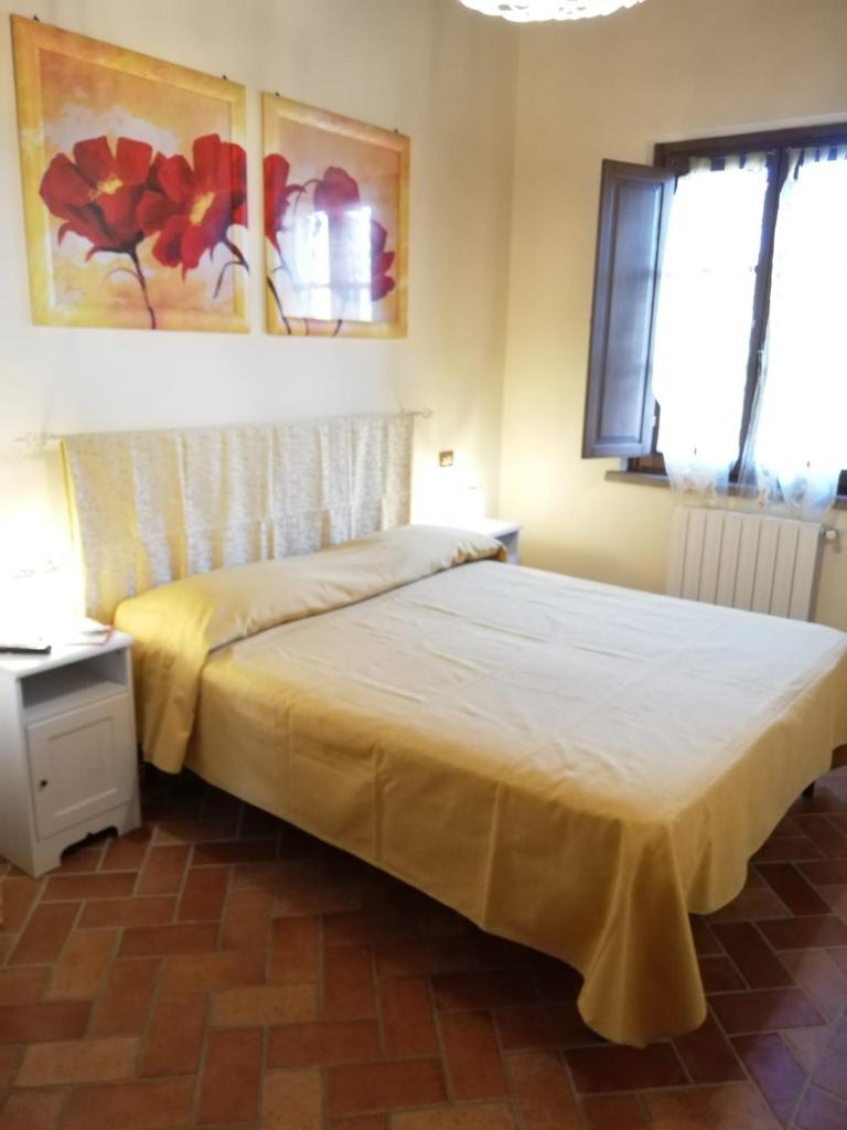 L'Aia degli olivi photo 4