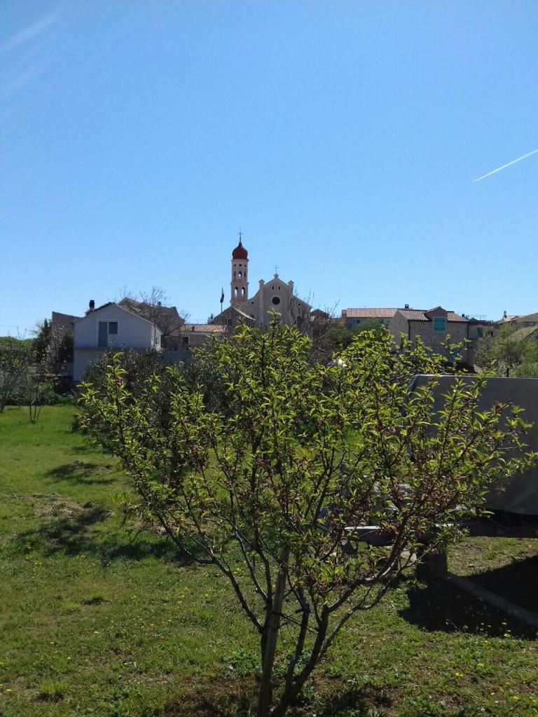 Apartment Frane photo 2