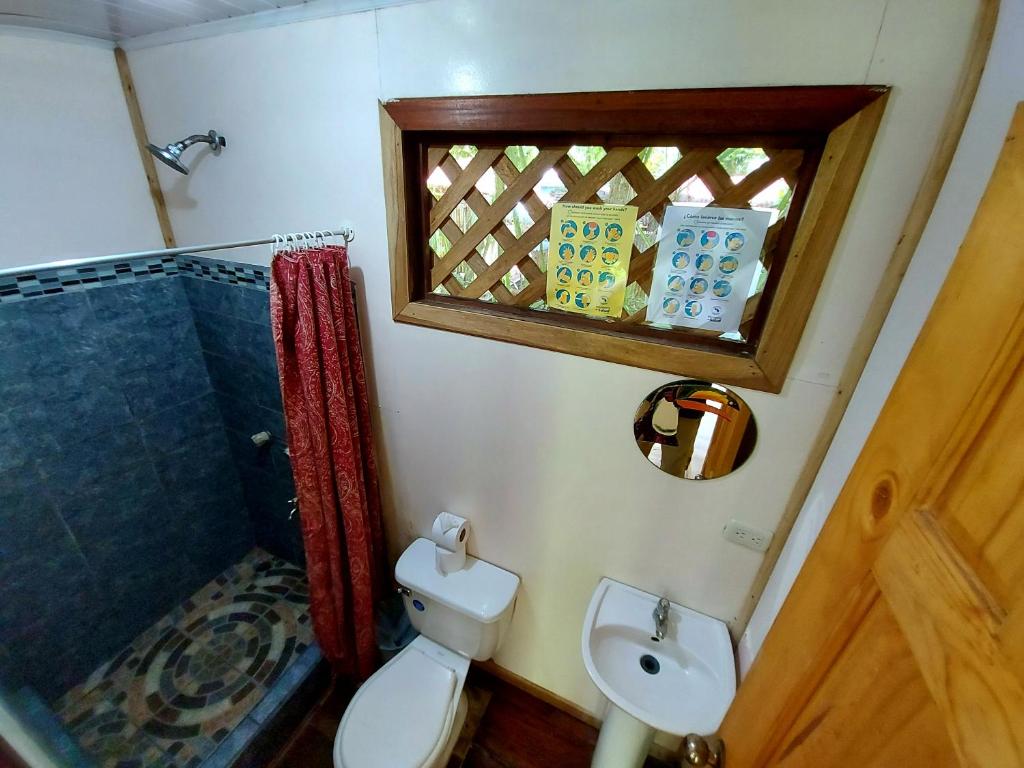 Cabinas Tortuguero photo 4