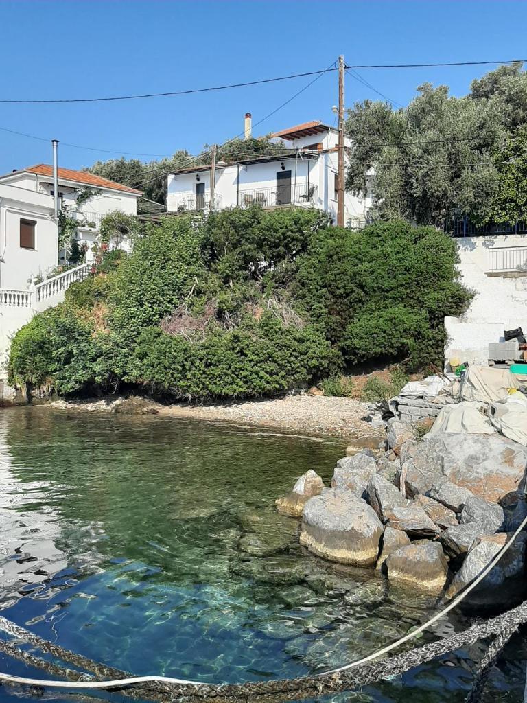 Chiona΄s Apartments by the Sea photo 4
