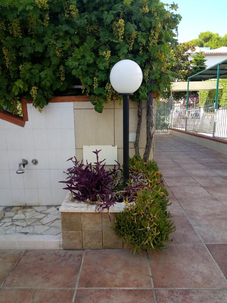 Casa Vacanze Mare Gargano photo 4