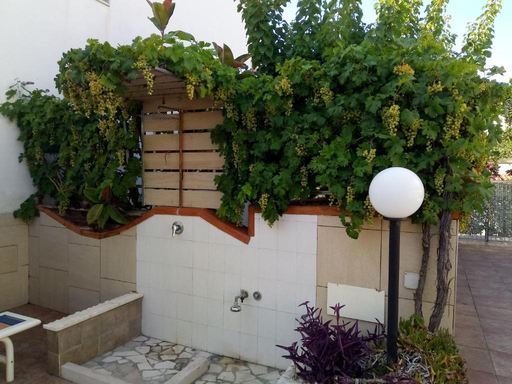 Casa Vacanze Mare Gargano photo 3