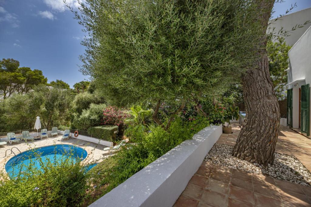Villa Cala dor photo 4