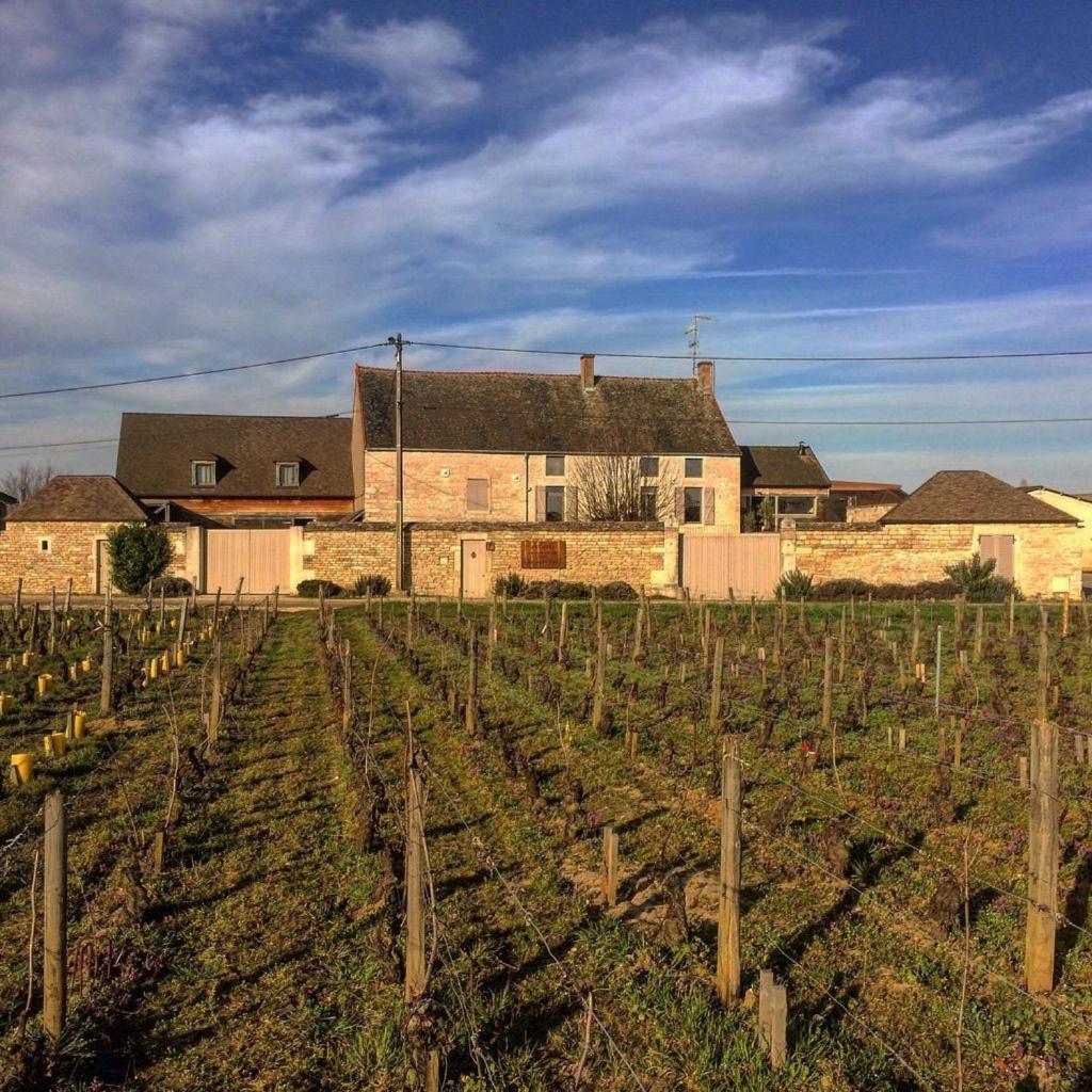 Domaine des Closeaux photo 1