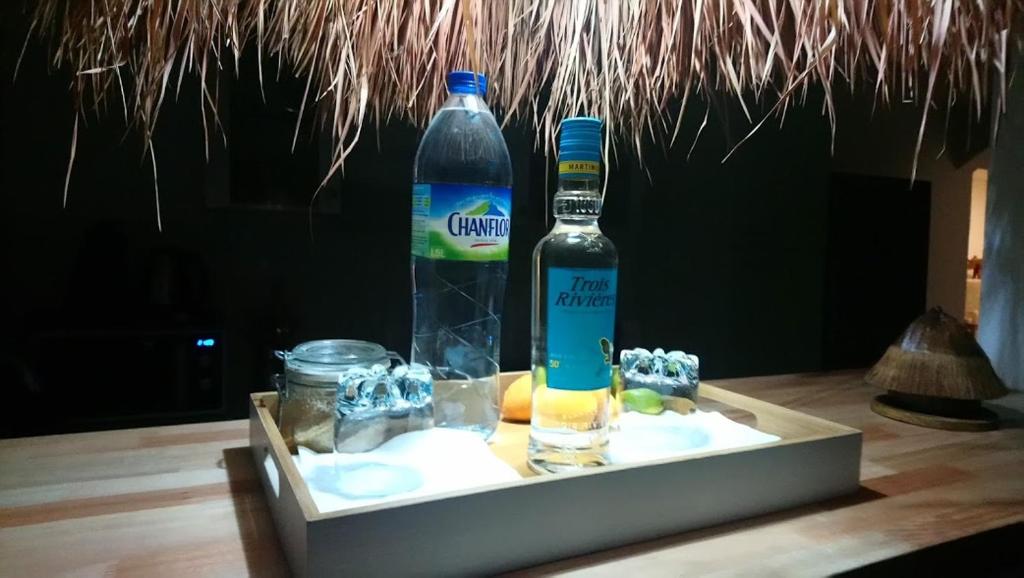 Gite Grenadille Martinique piscine privée, photo 4
