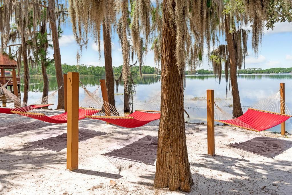 Hilton Vacation Club Grand Beach Orlando image