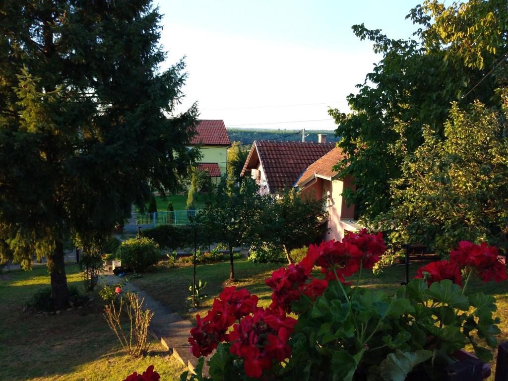 OLOR Apartman 2 - Banoštor photo 3