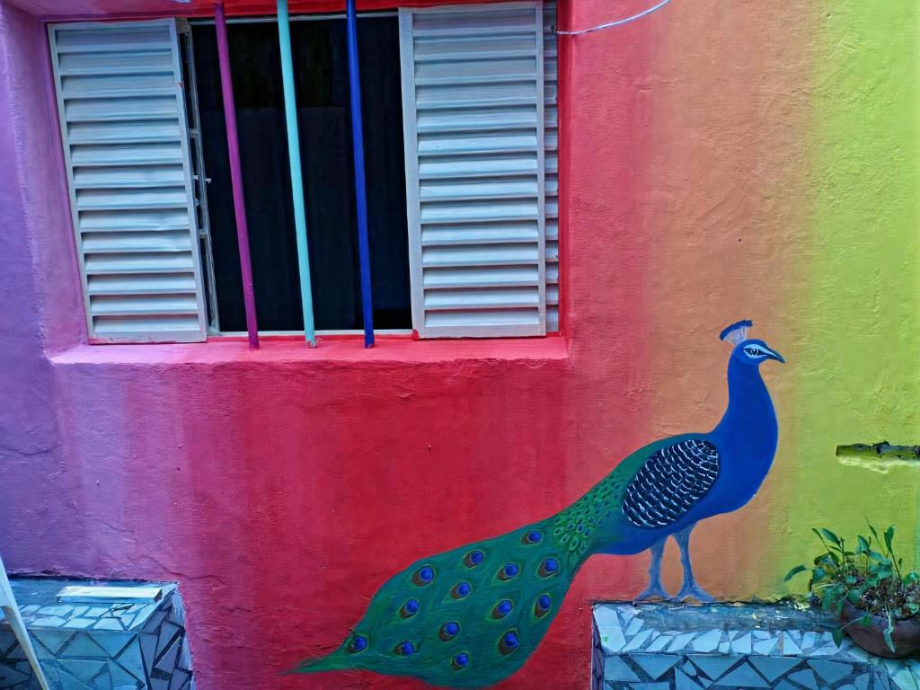 São Paulo Wanderlust G Hostel photo 4