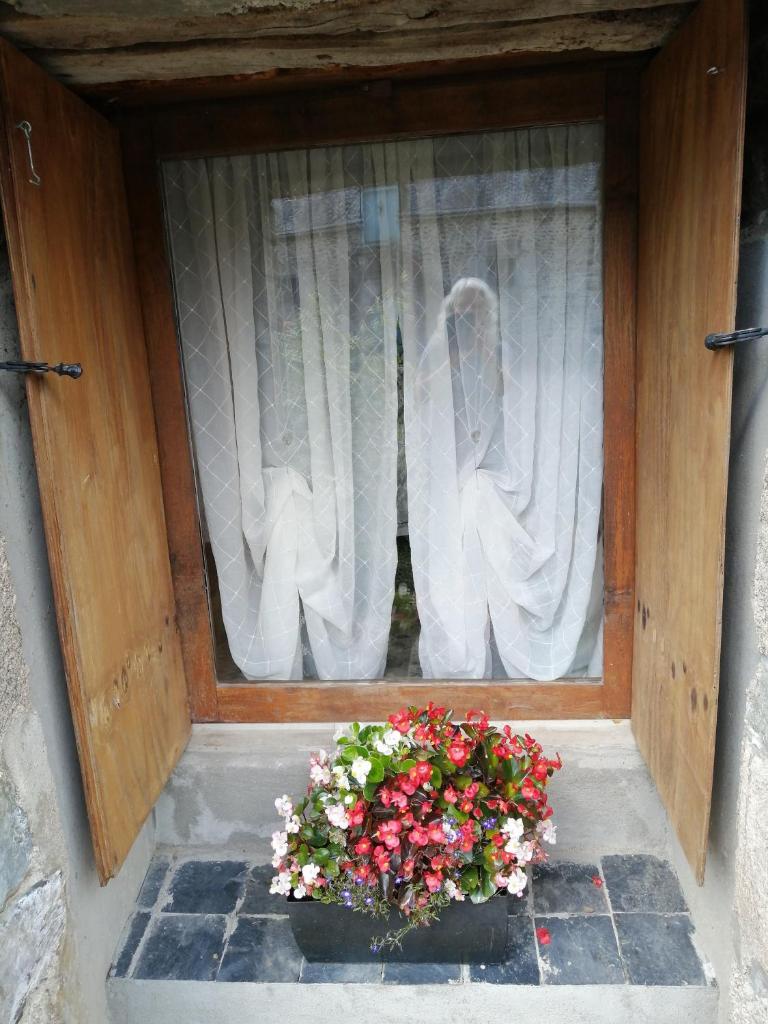 Le Petit Chateau, Matisse photo 1