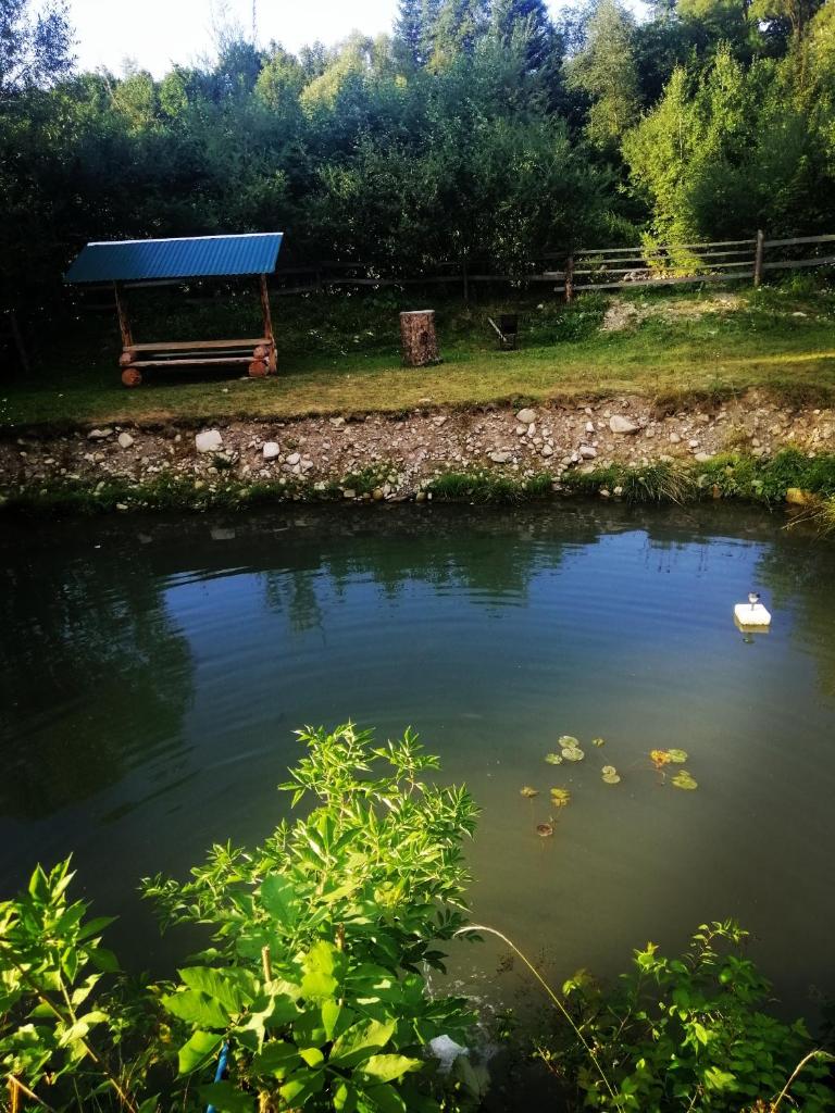 Medova Hata photo 4
