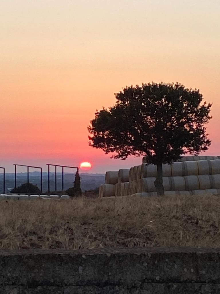 Gioia Infinita photo 1