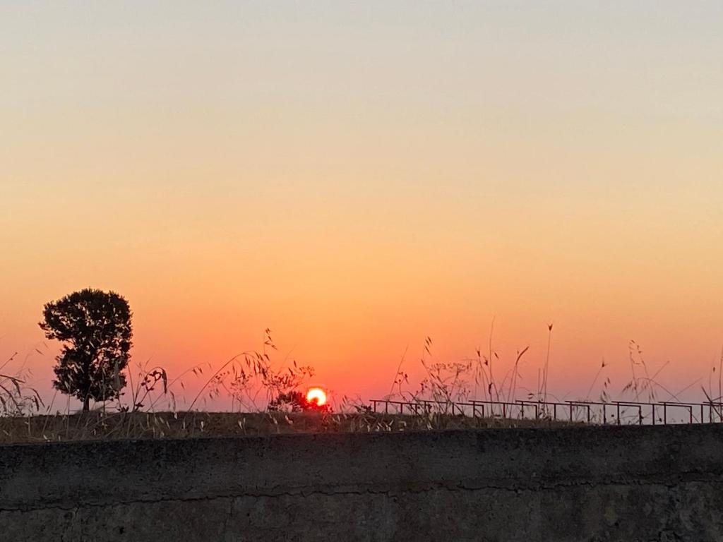 Gioia Infinita photo 2