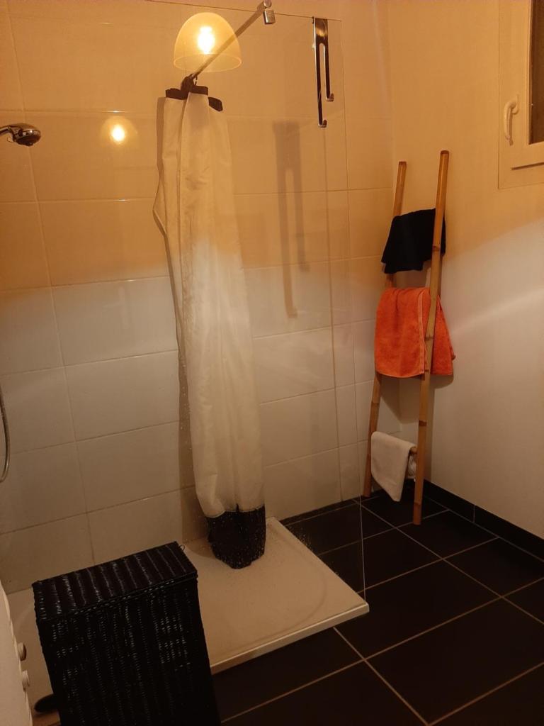 CHAMBRE CHEZ L'HABITANT photo 2
