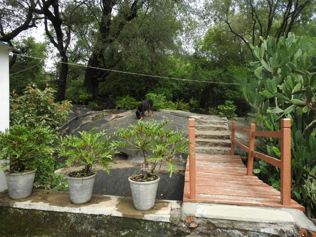 Golden oriole cottage photo 3