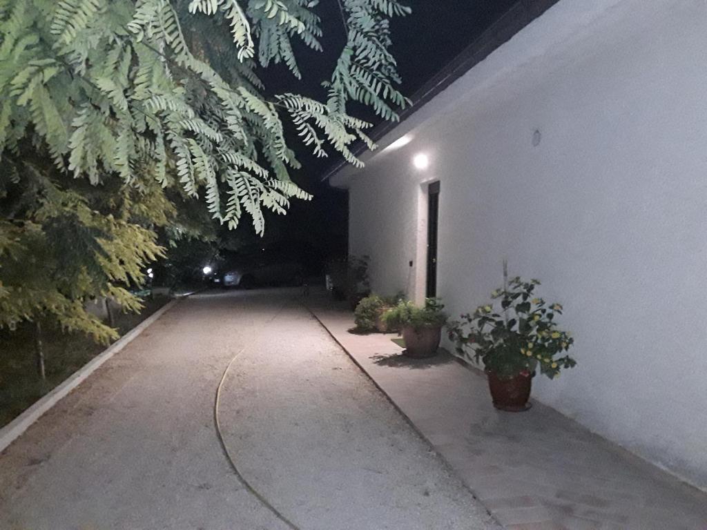 La Casa nel Verde photo 3