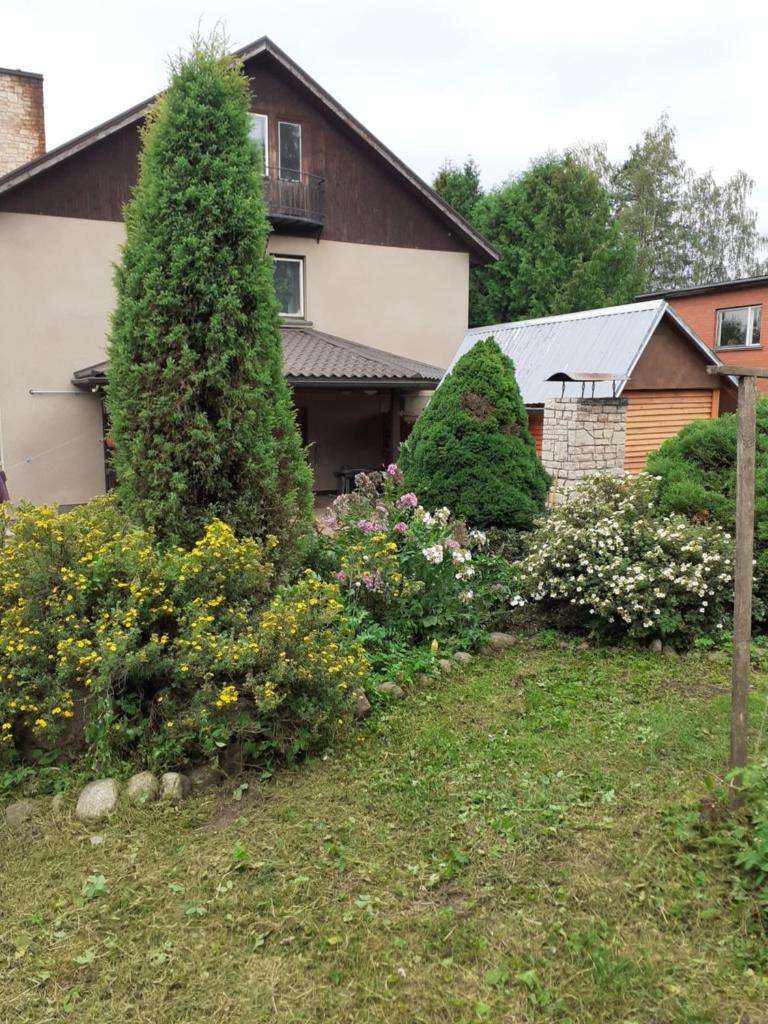 IOMAN HAUS photo 2
