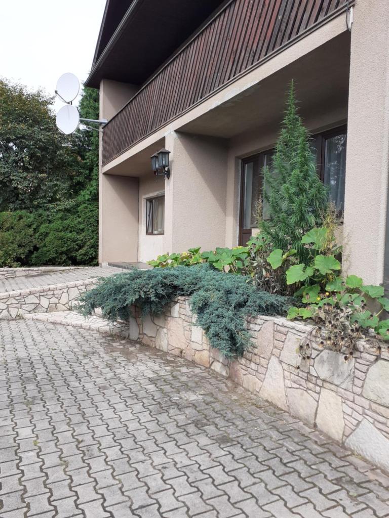 IOMAN HAUS photo 1