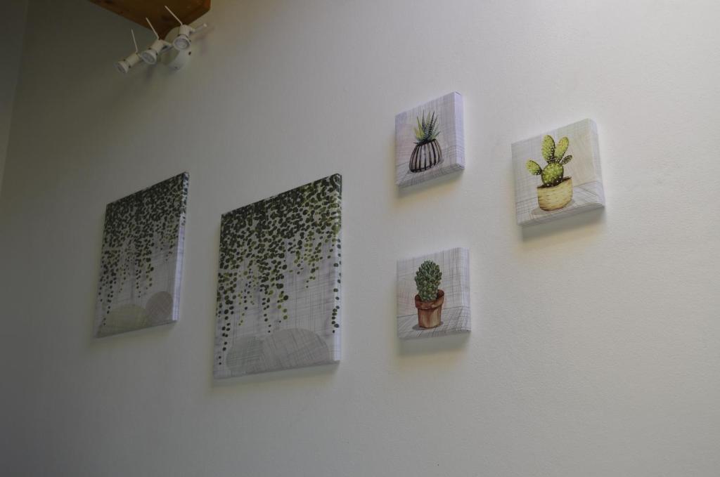 Cà Ulivi photo 3