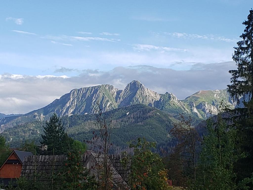TYLKOWA CHATA photo 3