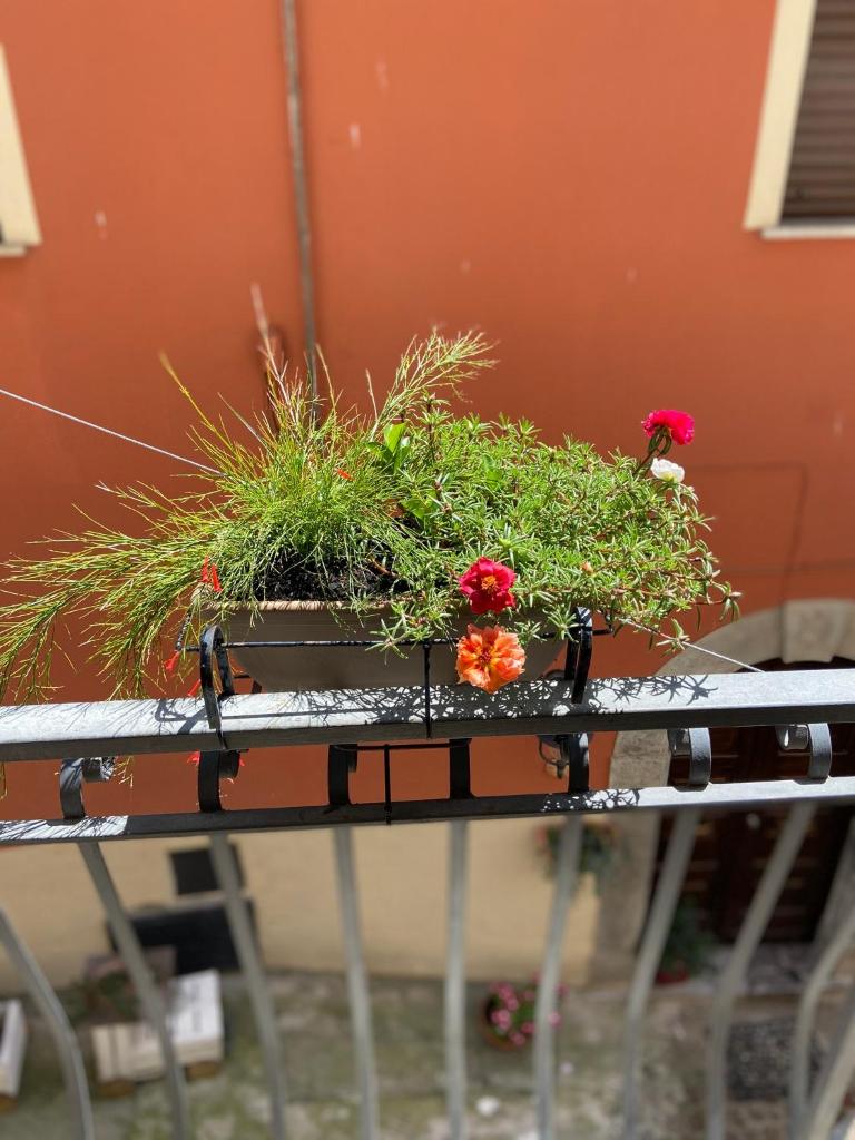 B&B Via Roma photo 1