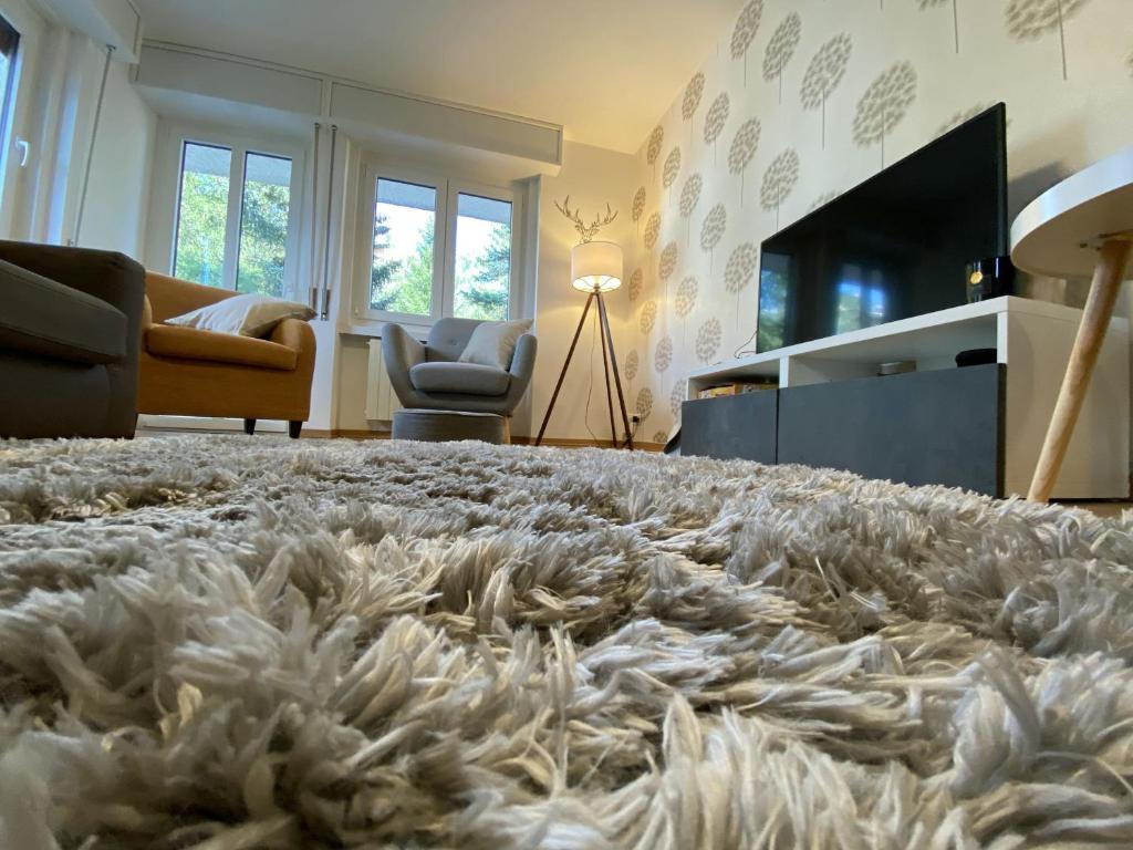 Clotes modern apartment, 50m from slopes - sleeps 6-8, 2 bath - SauzeHoliday photo 3