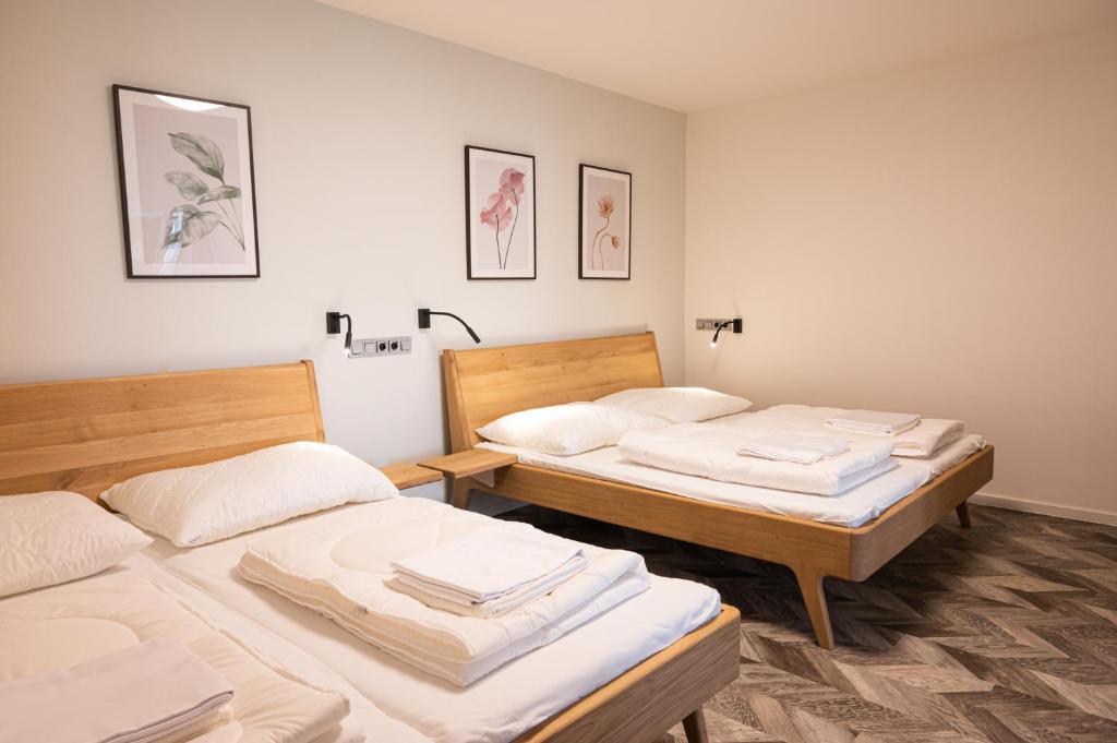 ART Hostel & Apartments photo 3