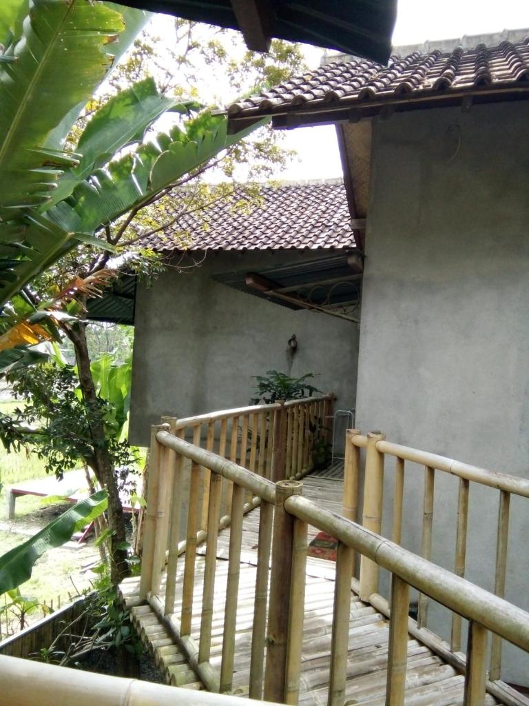 Omah Kebon Nitiprayan photo 1