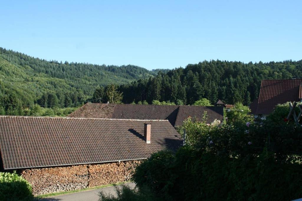 Ferienwohnung Höhner photo 1