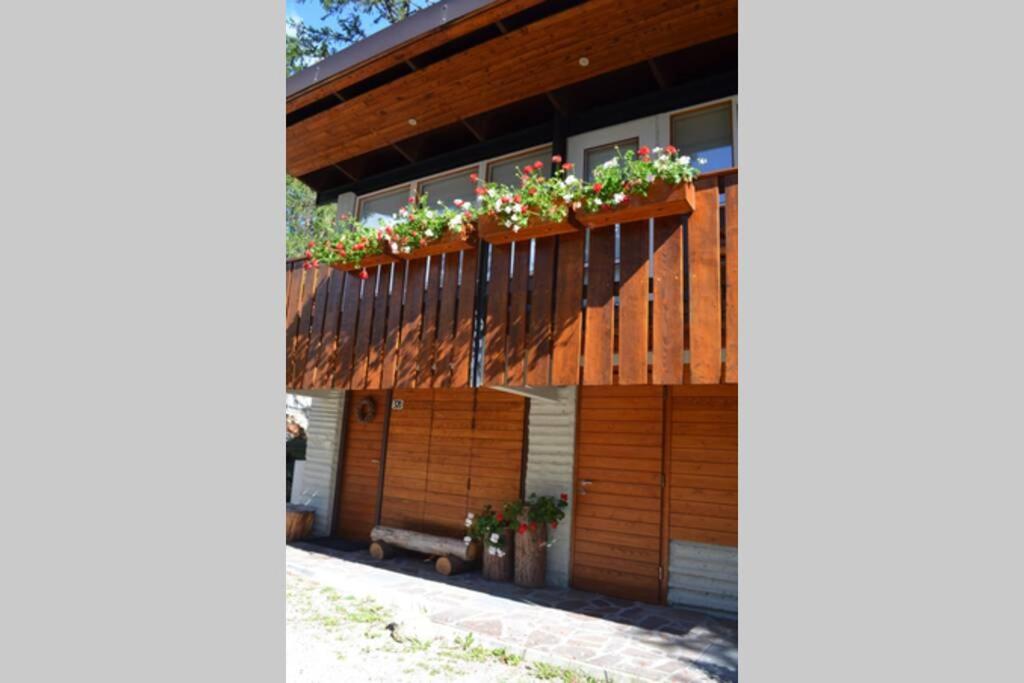Chalet nel bosco photo 1