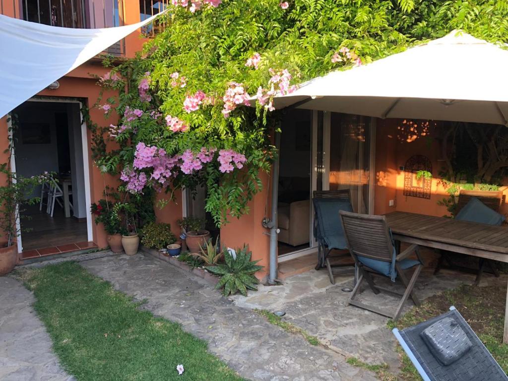 Beach appartment garden and wifi photo 1