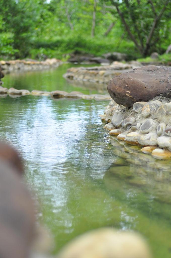 Suối khoáng nóng Alba Thanh Tân Resort