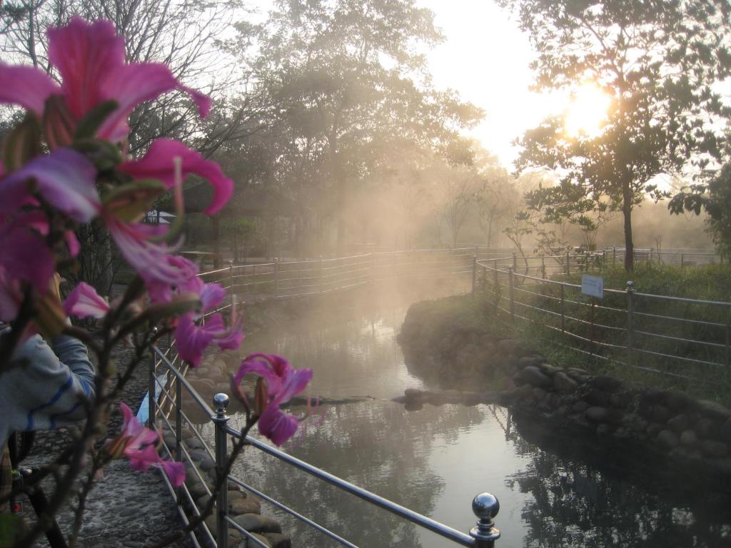 Suối khoáng nóng Alba Thanh Tân Resort