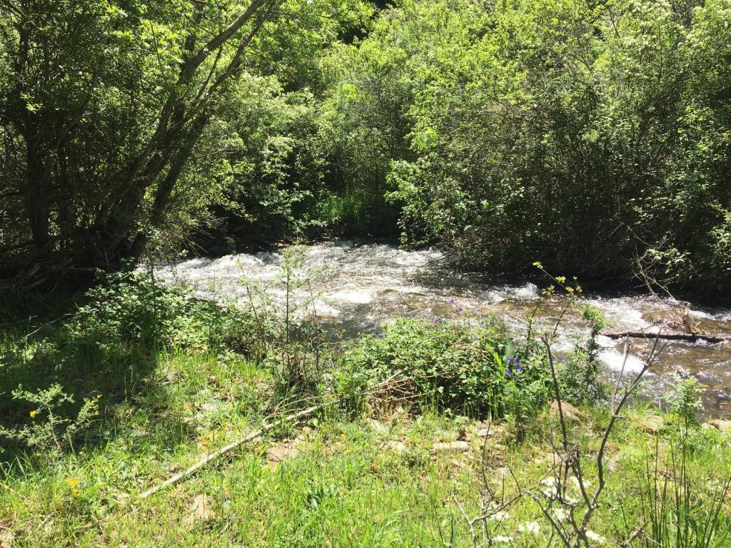 El molino de bretun photo 3