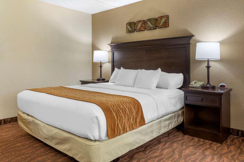 Comfort Inn at Thousand Hills photo 4